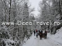 PENSIUNEA LACRAMIOARA SACEL MARAMURES