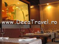 HOTEL NEW MONTANA SINAIA
