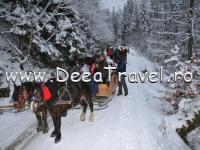 PENSIUNEA LACRAMIOARA SACEL MARAMURES