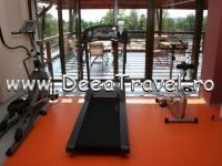 HOTEL SECRET GARDEN DANESTI