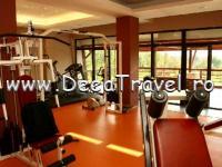 HOTEL SECRET GARDEN DANESTI